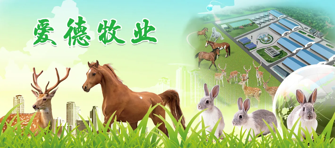 爱德牧业
